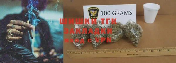 стаф Магас
