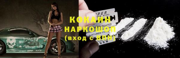 стаф Магас